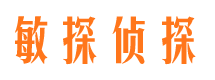 鄂州市私家侦探